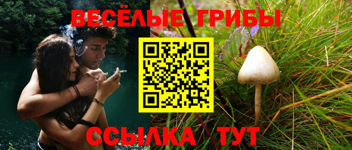 Галлюциногенные грибы ЛСД  Вход с VPN  Южно-Сахалинск 