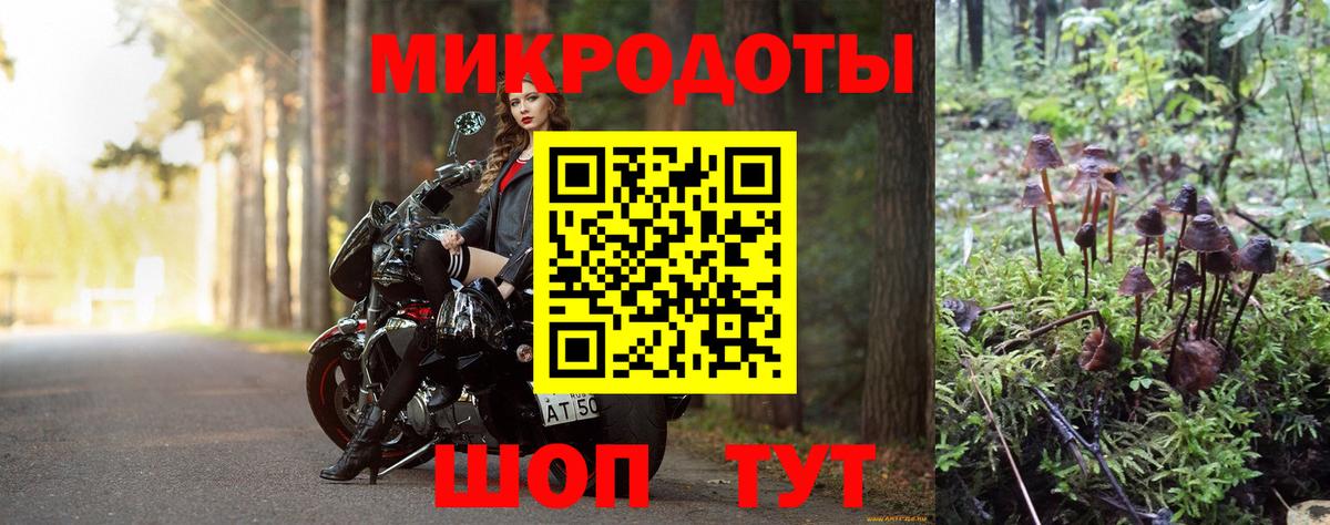 Псилоцибиновые грибы прущие грибы Южно-Сахалинск